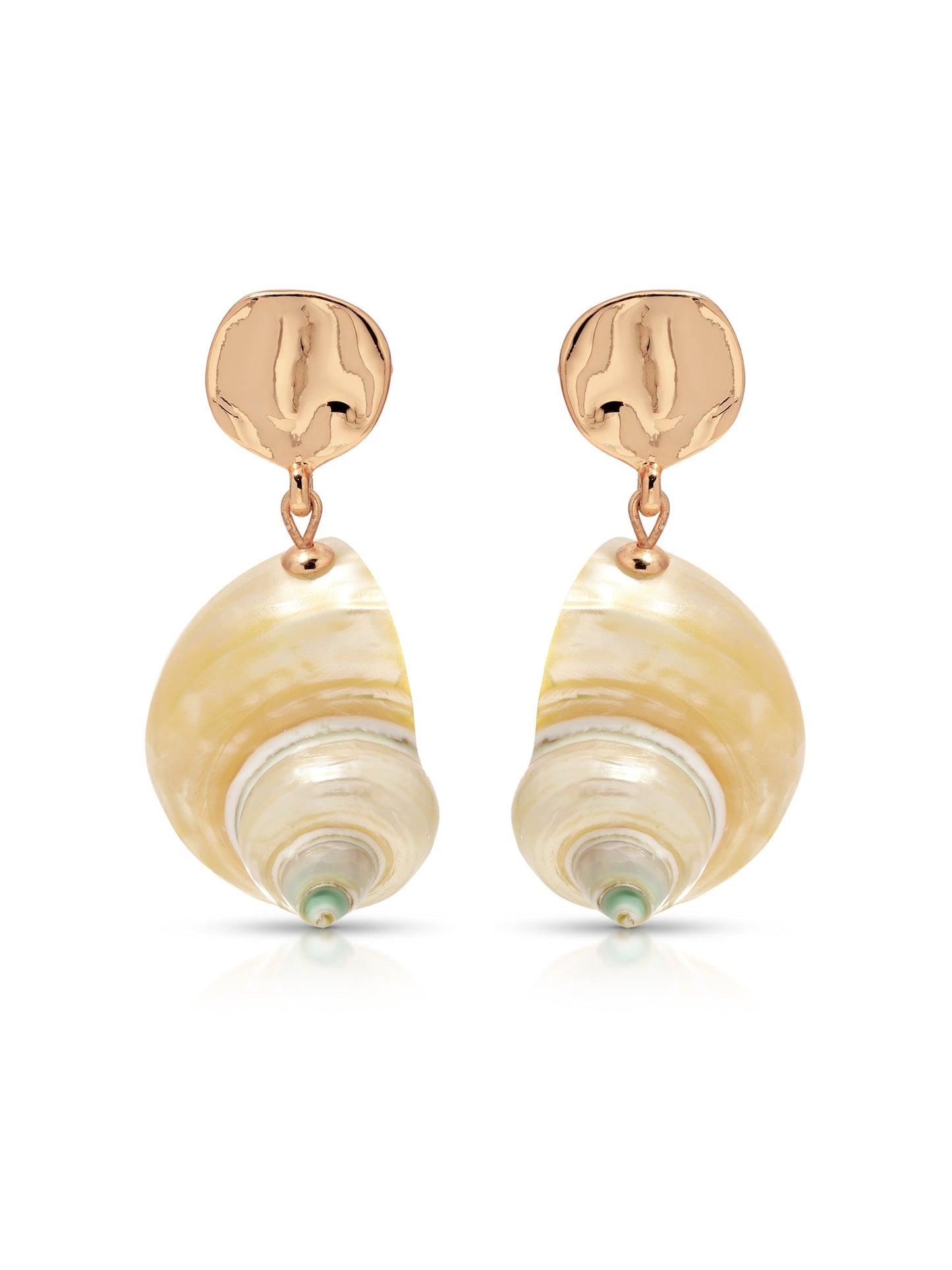 Sunken Treasure Shell Earrings