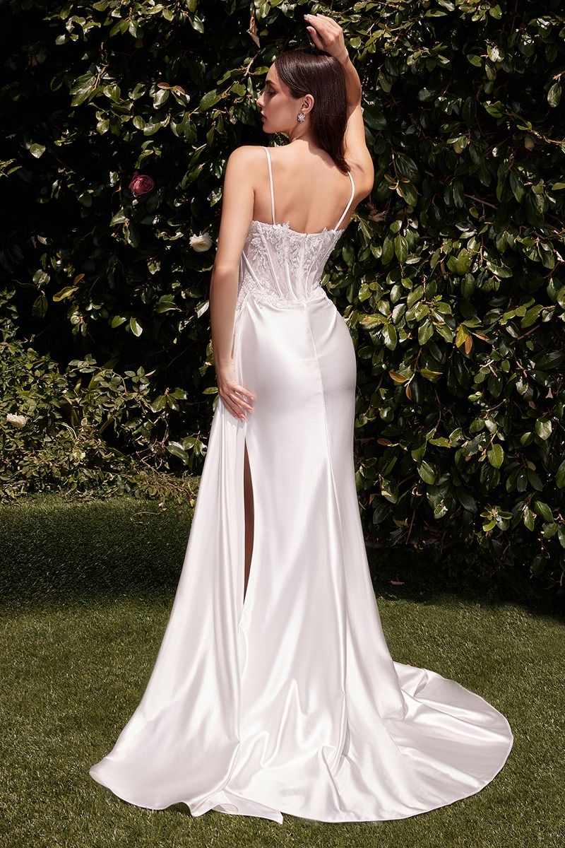 ROBE TEAGAN - BLANC CASSÉ - AJUSTÉE SATIN ET DENTELLE