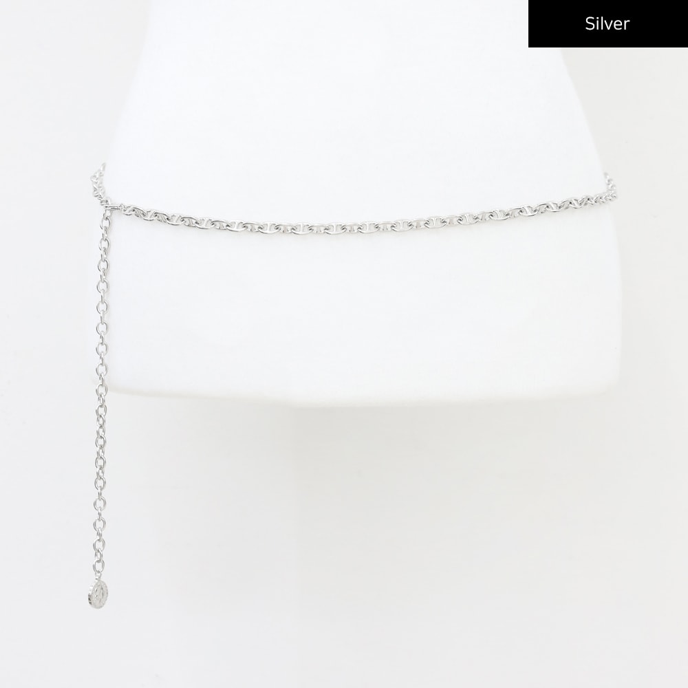 Chain Belt CM17
