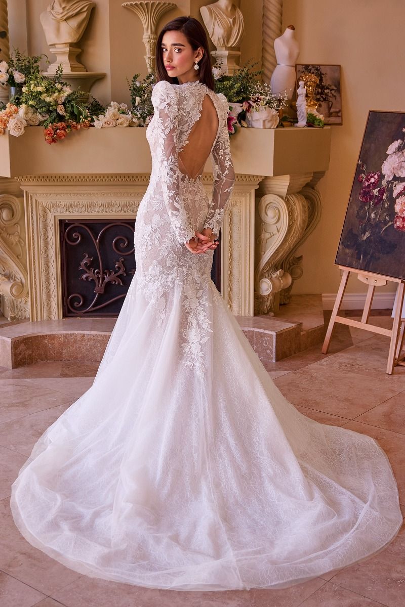WL036 – Langärmliges Brautkleid im Meerjungfrauenstil mit Spitze – Andrea & Leo