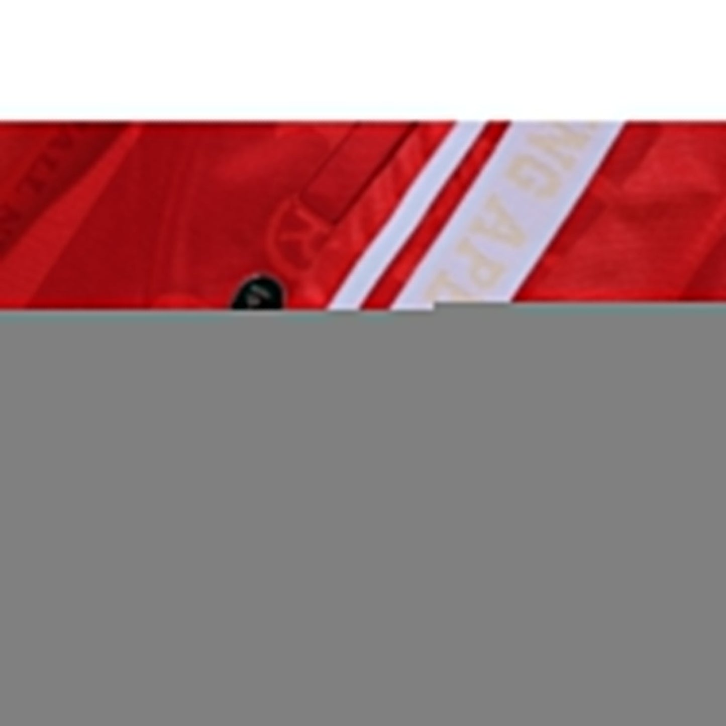 FANS SCARF SHORTS MENS