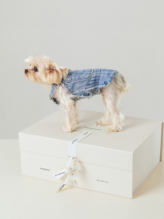 Small Luna & Pet Leash Box